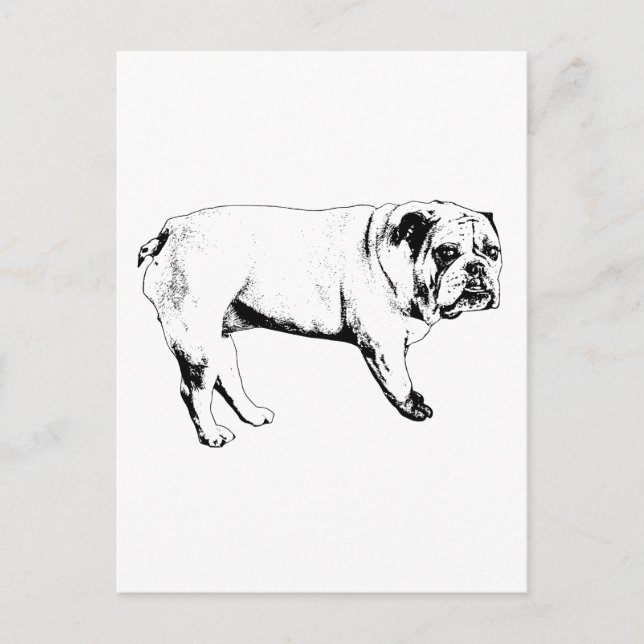 Carte postale Bulldog Snow-Hello (Devant)