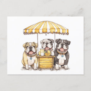 Carte Postale Bulldogs Anglais Courant Un Stand De Lemonade
