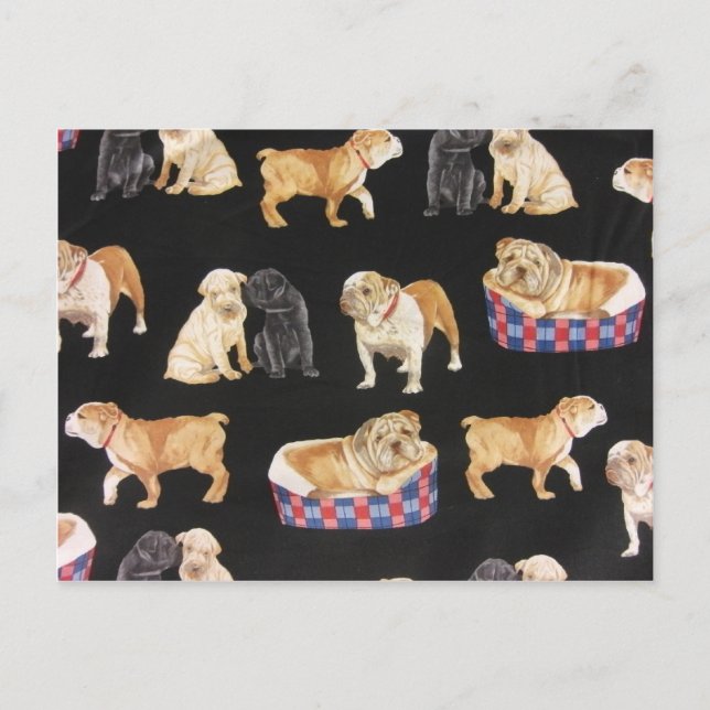 Carte Postale Bulldogs & Shar Peis (Devant)