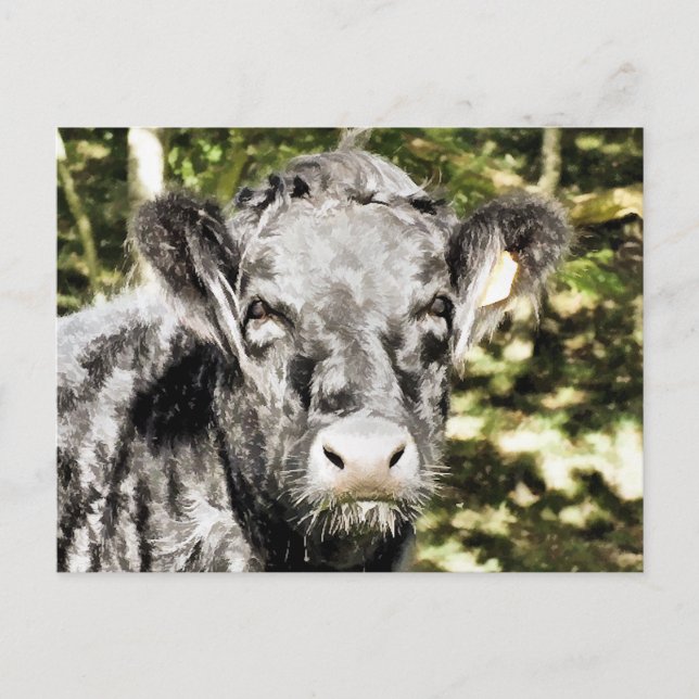 CARTE POSTALE BULLES (Devant)