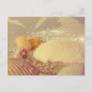 Carte Postale bulles