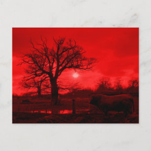 CARTE POSTALE BULLES