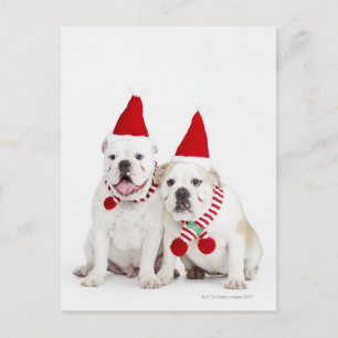 Carte Postale Bulles blanches