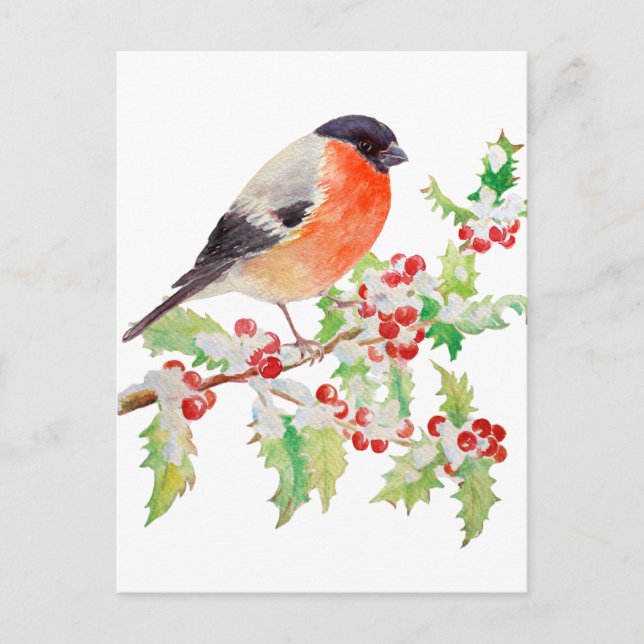 Carte Postale Bullfinch sur branche sainte dans le poste de neig (Devant)