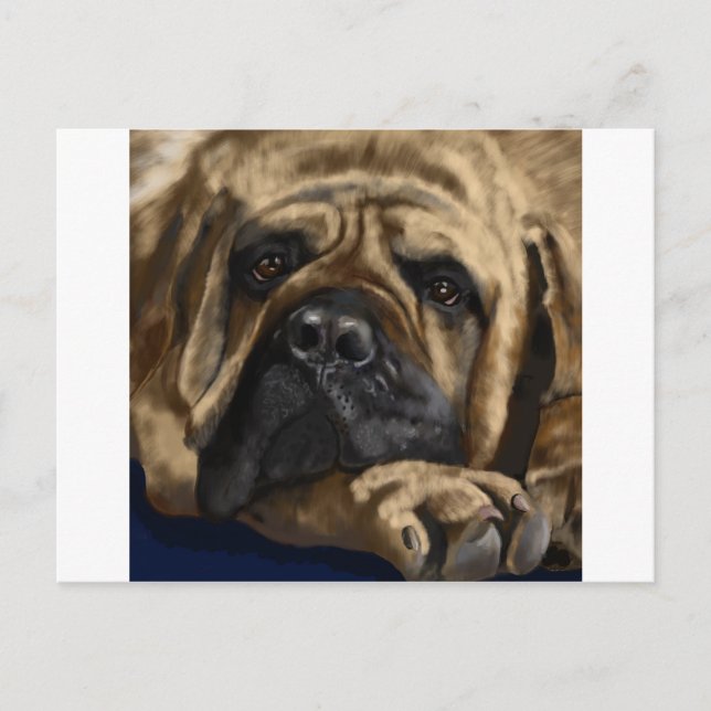 Carte Postale Bullmastiff (Devant)