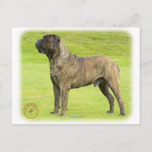 Carte Postale Bullmastiff 9R071D-077