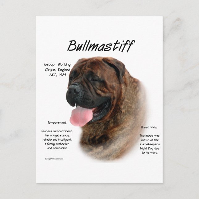 Carte Postale Bullmastiff (broche) (Devant)