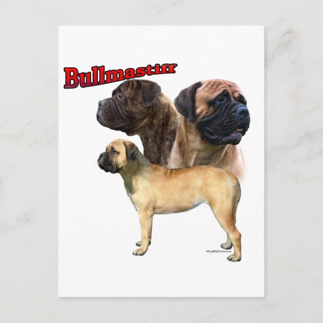 Carte Postale Bullmastiff Trio 2 (Devant)