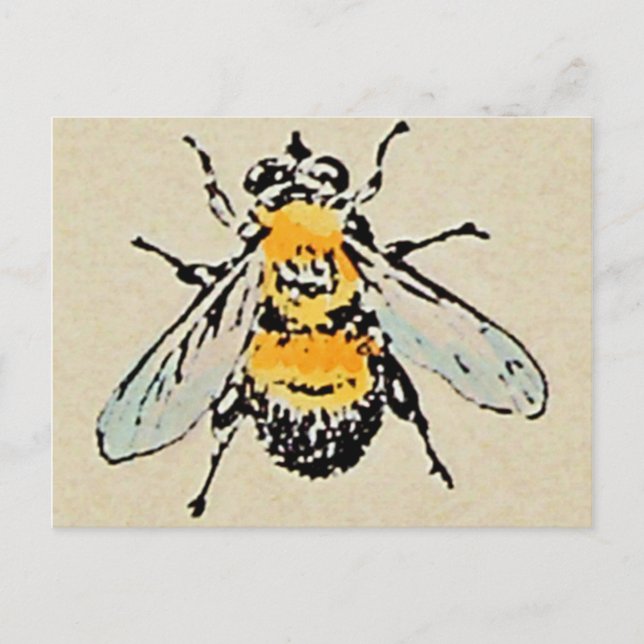 Carte postale Bumble Bee (Devant)