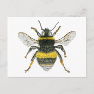 Carte postale Bumble Bee