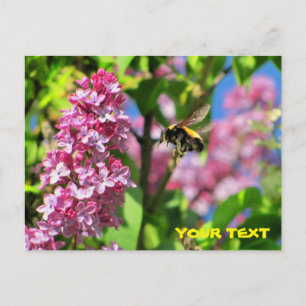 Carte Postale Bumble Bee survolant Lilacs