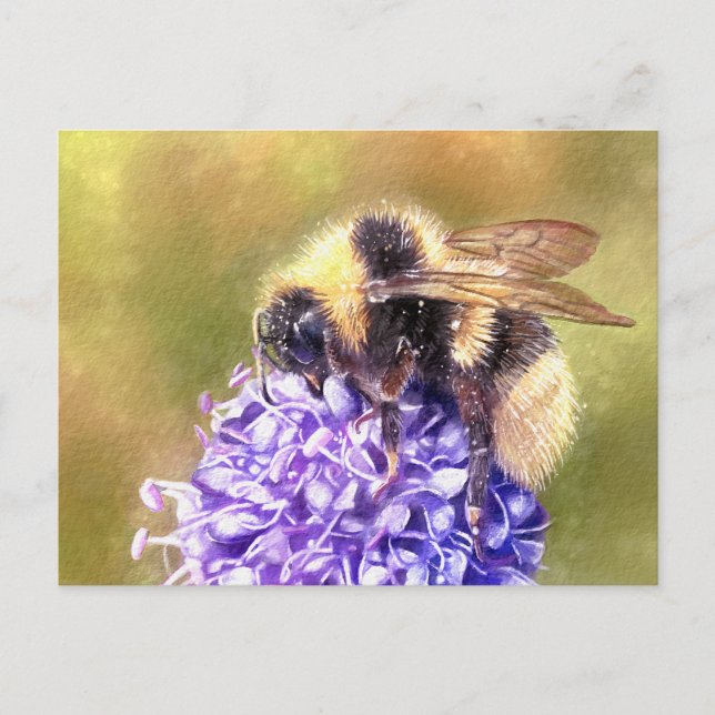 Carte Postale Bumblebee (Devant)