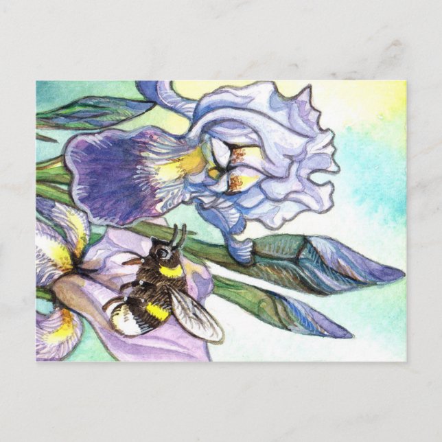 Carte Postale Bumblebee Et Irises (Devant)