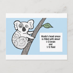 Carte Postale Bumpy Brains Koala