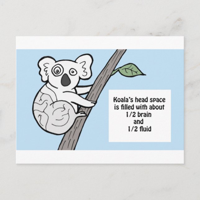 Carte Postale Bumpy Brains Koala (Devant)
