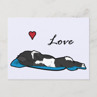 Carte Postale Bunneh dormant