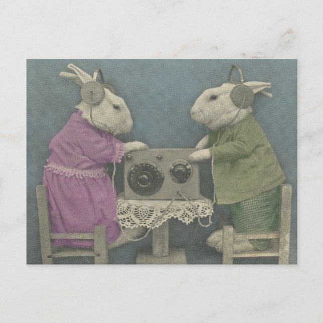 Carte Postale Bunnies audiophile (Devant)
