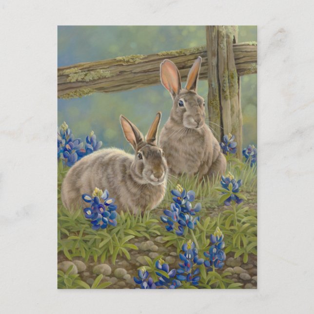 Carte Postale Bunnies & Bluebonnets (Devant)