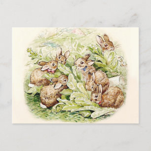 Carte Postale Bunnies dans le Patch de la Lettuce par Beatrix Po