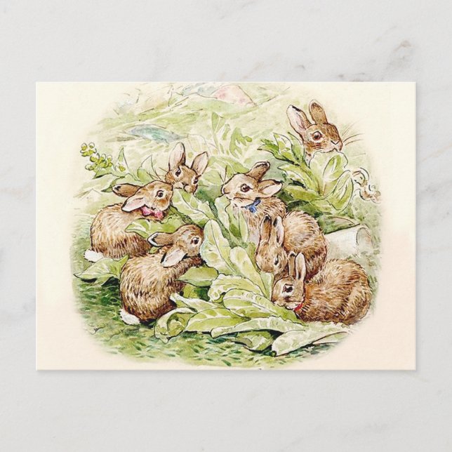 Carte Postale Bunnies dans le Patch de la Lettuce par Beatrix Po (Devant)