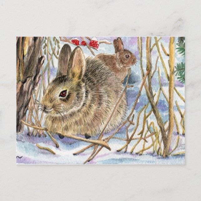 Carte Postale Bunnies d'hiver (Devant)