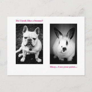 Carte Postale Bunny and French bulldog