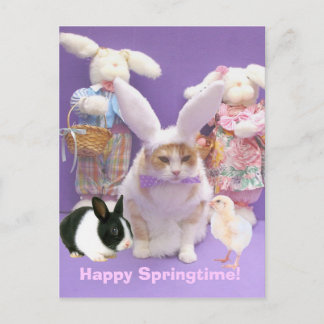 Carte Postale Bunny Bubba 2
