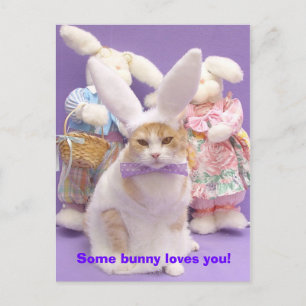 Carte Postale Bunny Bubba 3