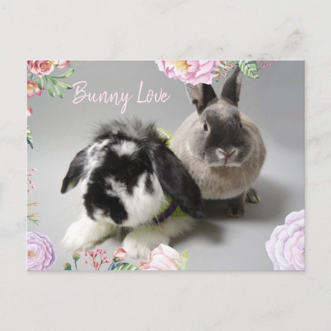 Carte Postale Bunny Love (Devant)