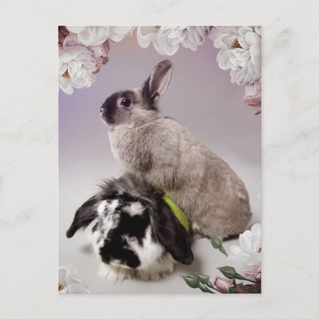 Carte Postale Bunny Love (Devant)