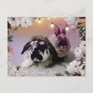 Carte Postale Bunny Love