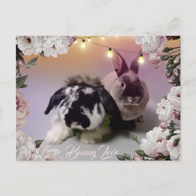 Carte Postale Bunny Love (Devant)
