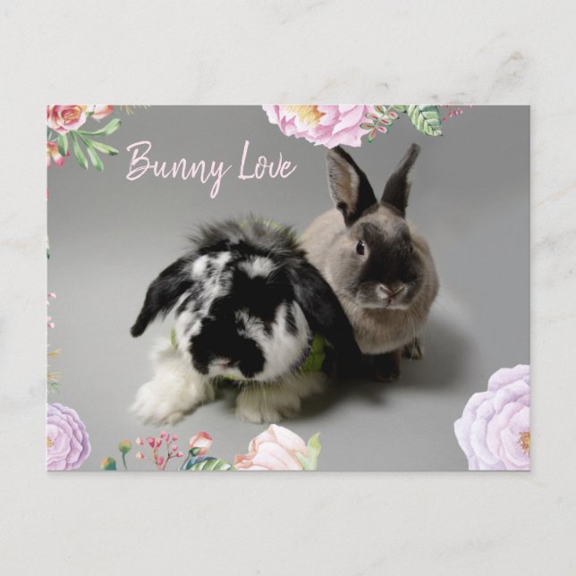 Carte Postale Bunny Love (Devant)