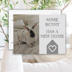 Carte Postale Bunny Photo Nous avons déménagé   Nouveau Faire-pa