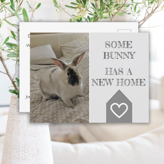 Carte Postale Bunny Photo Nous avons déménagé | Nouveau Faire-pa