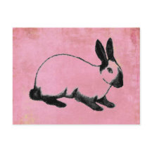 Carte postale Bunny rose