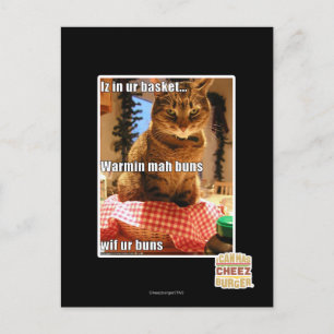 Carte Postale Buns de mah Warmin