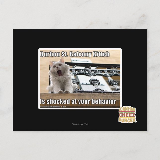 Carte Postale Burbon St Balcony Kitteh (Devant)