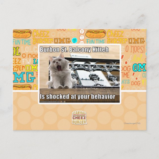 Carte Postale Burbon St Balcony Kitteh (Devant)