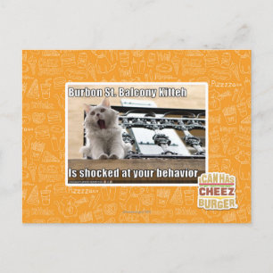Carte Postale Burbon St Balcony Kitteh