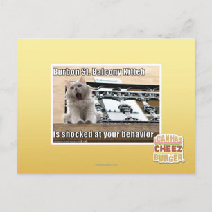 Carte Postale Burbon St Balcony Kitteh