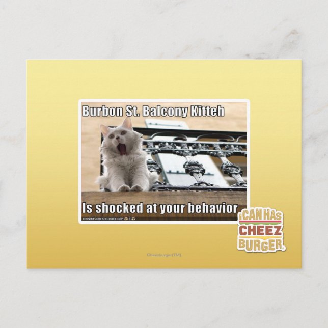 Carte Postale Burbon St Balcony Kitteh (Devant)