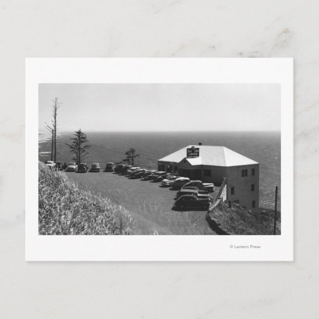 Carte Postale Bureau principal des grottes de lions de la mer de (Devant)