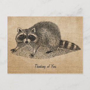 Carte postale Burlap Vintage Raccoon