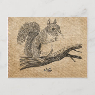 Carte postale Burlap Vintage Squirel