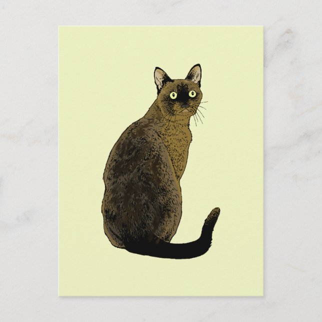 Carte Postale Burmese Cat (Devant)