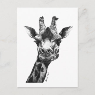 Carte Postale Burney la Giraffe