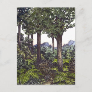 Carte Postale Bush néo-zélandais