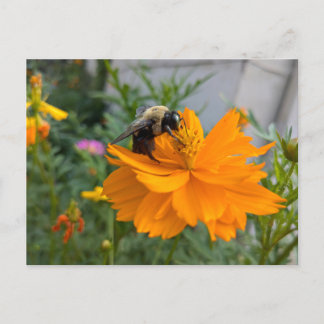 Carte postale Busy Bee - par Cottagevale