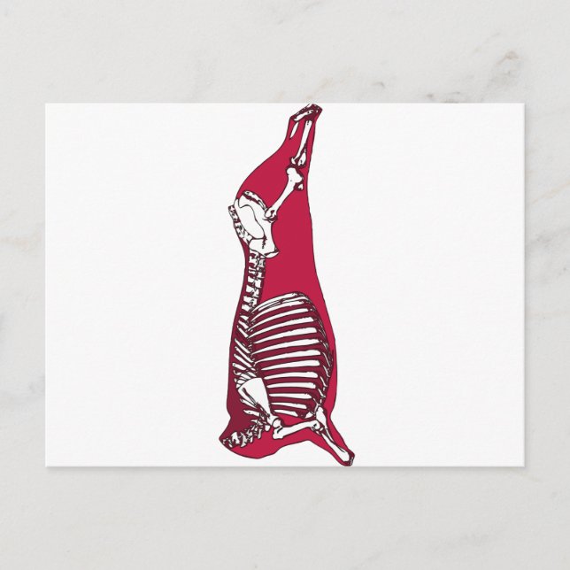 CARTE POSTALE BUTCHER ANATOMY (Devant)